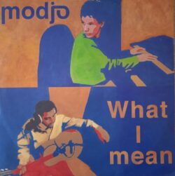 Modjo – What I Mean (Vinyl,2001)
