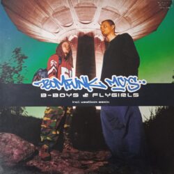 Bomfunk MC's – B-Boys & Flygirls (Vinyl,2000)