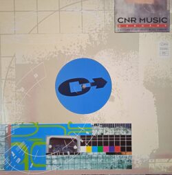 The Course – Ain't Nobody (Vinyl,1997)
