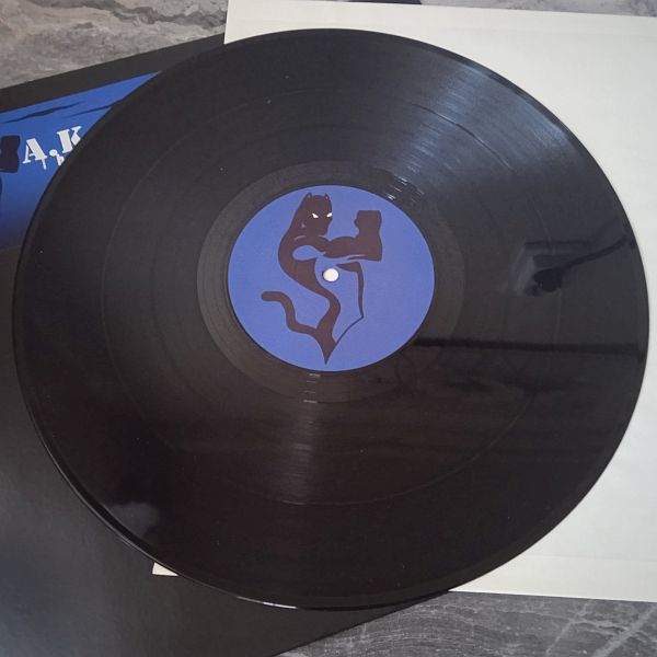 A.K.-S.W.I.F.T. – The Professional (Vinyl,1998) - Image 2