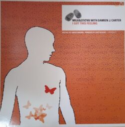 Milk & Sugar With Damien J. Carter – I Got This Feeling - Edition 2 (Vinyl,2002)