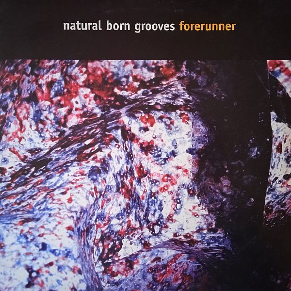 Natural Born Grooves – Forerunner (Vinyl,1996)