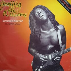 Geoffrey Williams – Summer Breeze (The DNA Mixes) (Vinyl,1992)