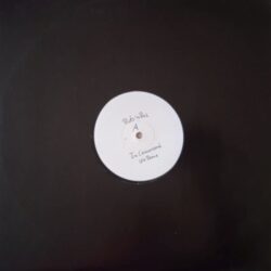 Rob 'n' Raz – In Command (UK Remix) (Vinyl,1994)