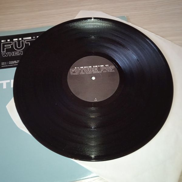 Future Pop – When The Rain Begins To Fall (Vinyl,2002) - Image 2