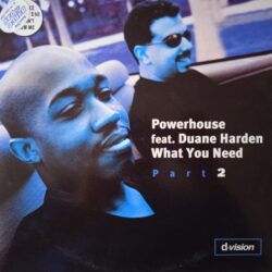 Powerhouse Featuring Duane Harden – What You Need (Part 2) (Vinyl,1999)