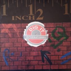 Interactive – Forever Young (Vinyl,1994)