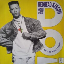Redhead Kingpin And The F.B.I. – Do The Right Thing (Vinyl,1989)